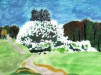 Рисунок к стихотворению есенина сыплет черемуха снегом